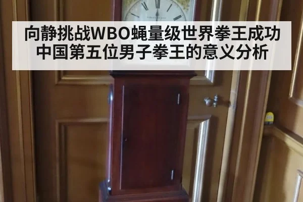 向静挑战WBO蝇量级世界拳王成功 中国第五位男子拳王的意义分析