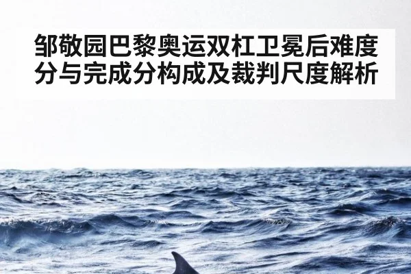 邹敬园巴黎奥运双杠卫冕后难度分与完成分构成及裁判尺度解析